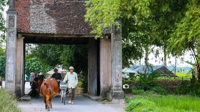 Check-in tại cổng làng cổ Đường Lâm