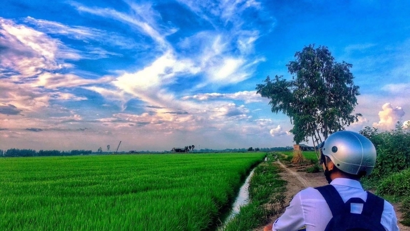 Vẻ đẹp hùng vĩ của tranh phong cảnh quê hương đất nước