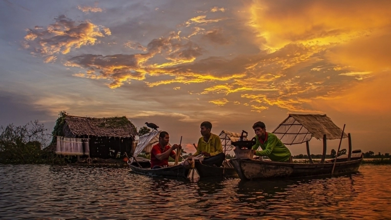 Bức tranh phong cảnh Long An và cánh đồng lúa