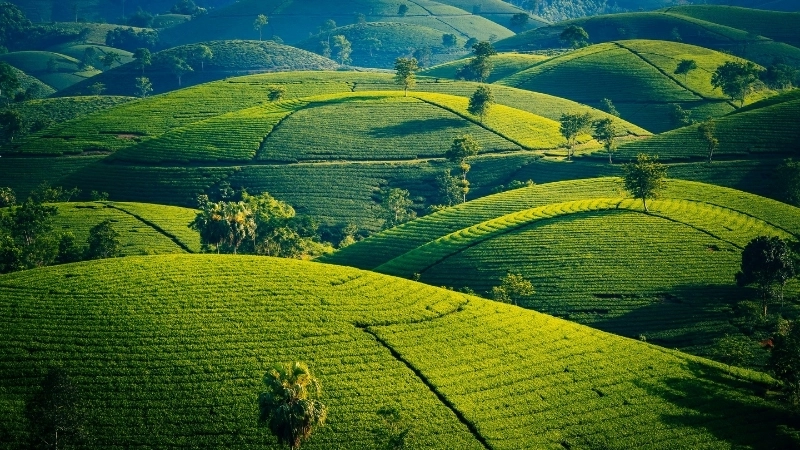 Nét cổ kính trong phong cảnh Bắc Ninh