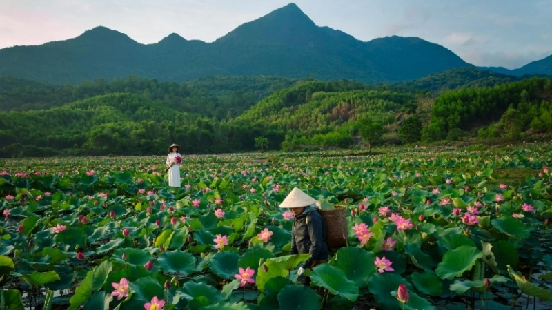 Một trong những cảnh đẹp miền Bắc Việt Nam