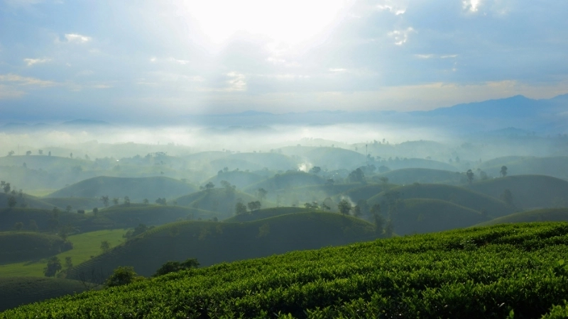 Vẻ đẹp hùng vĩ của tranh phong cảnh quê hương đất nước