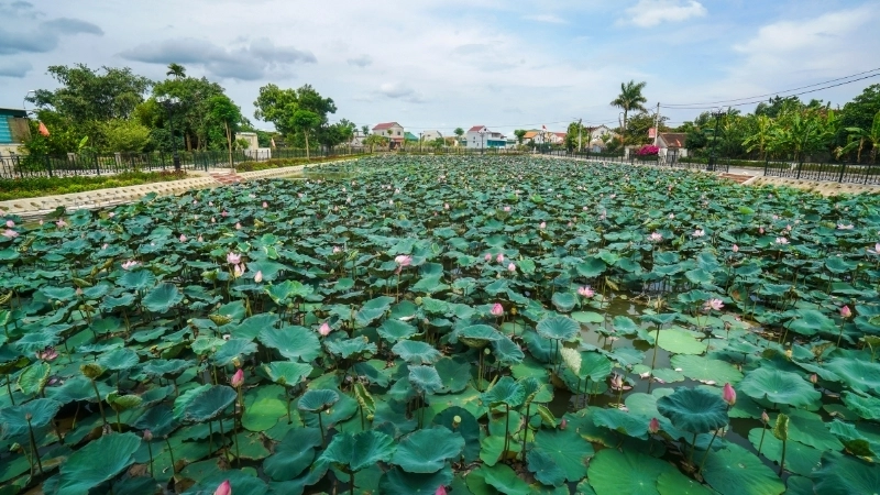 Top cảnh đẹp miền Bắc Việt Nam