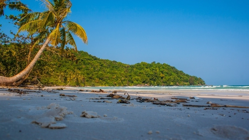 Vẻ đẹp yên bình của tranh phong cảnh biển buổi sáng