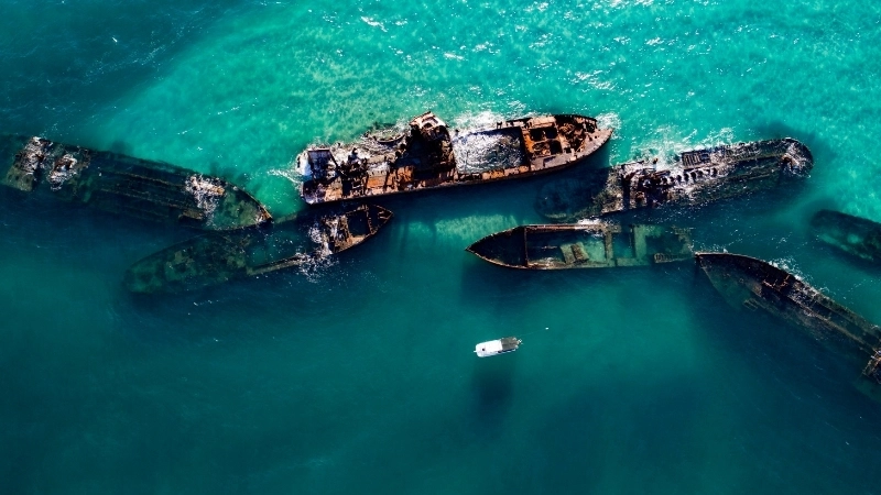 Sự sang trọng của tranh sơn dầu phong cảnh biển