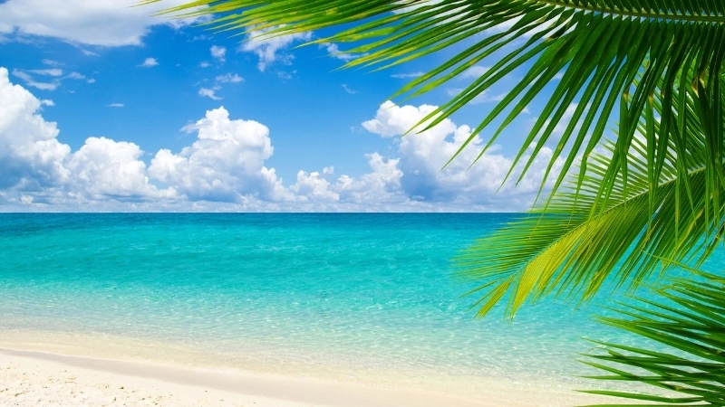 Cùng bé học vẽ tranh phong cảnh biển đảo