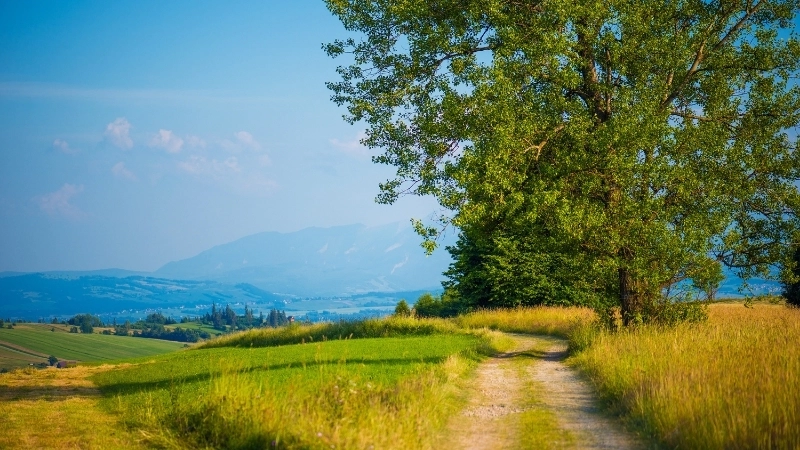 Gợi ý mẫu tranh làng quê dễ vẽ cho bé