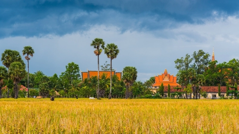 Bức tranh vẽ cảnh làng quê thanh bình