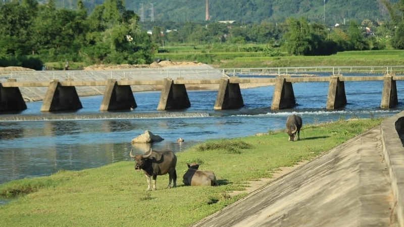 Học cách vẽ tranh phong cảnh quê hương đơn giản