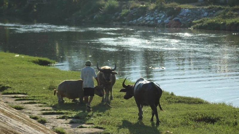 Góc nhìn thân thương trong tranh vẽ về quê hương đẹp
