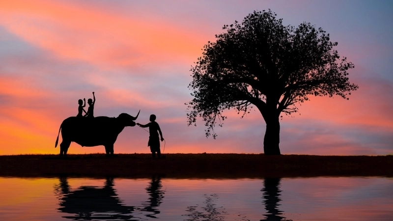 Ký ức tuổi thơ qua nét vẽ tranh cảnh quê hương em