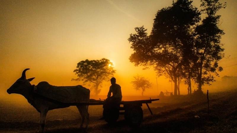 Vẻ đẹp hùng vĩ của tranh phong cảnh quê hương đất nước