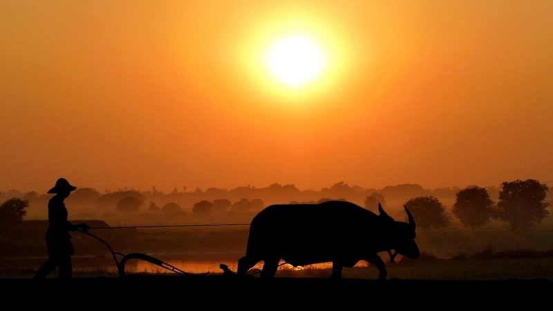 Một ý tưởng tranh vẽ quê hương đơn giản