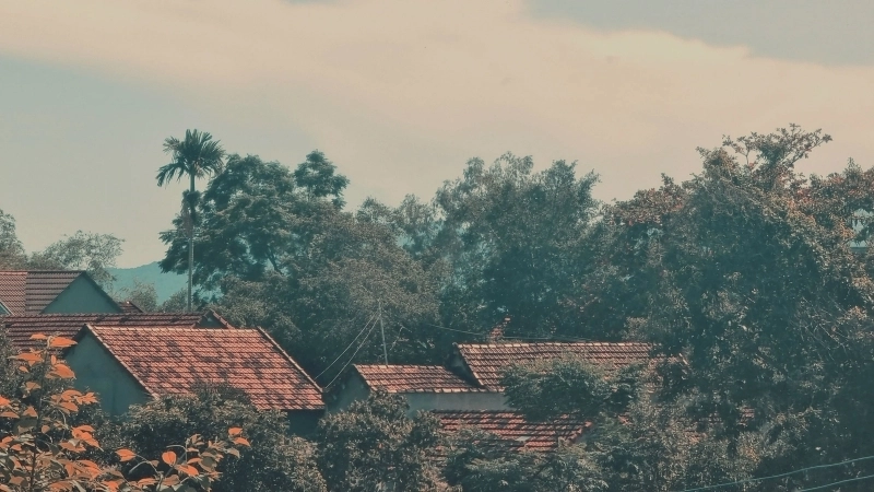 Hướng dẫn vẽ tranh phong cảnh quê hương đẹp