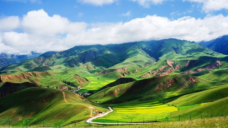 Cách vẽ tranh phong cảnh đồng lúa đơn giản