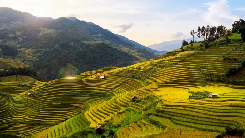 Một ảnh phong cảnh ruộng bậc thang đẹp nao lòng