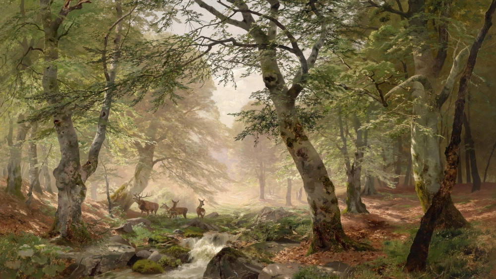 Mẫu tranh thiên nhiên 3D sống động