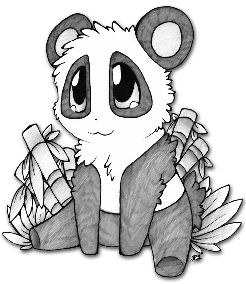 Gấu trúc ăn tre và măng non