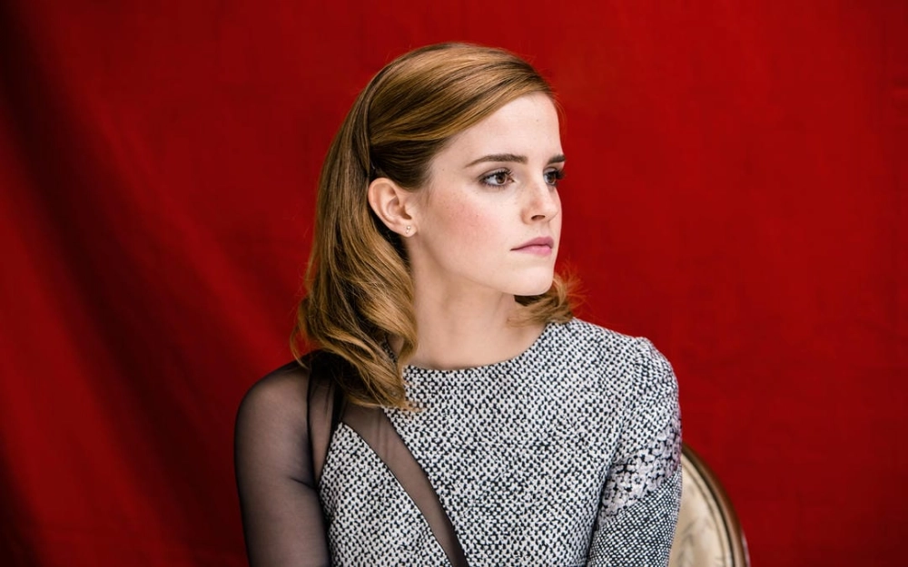 Bài phát biểu ấn tượng của emma watson un