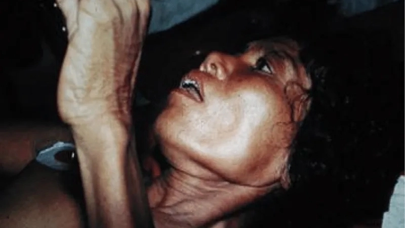 Tầm quan trọng của việc tiêm phòng dại cho chó mèo