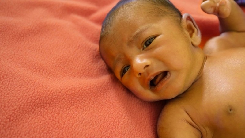 Minh họa về cách giải độc gan tự nhiên