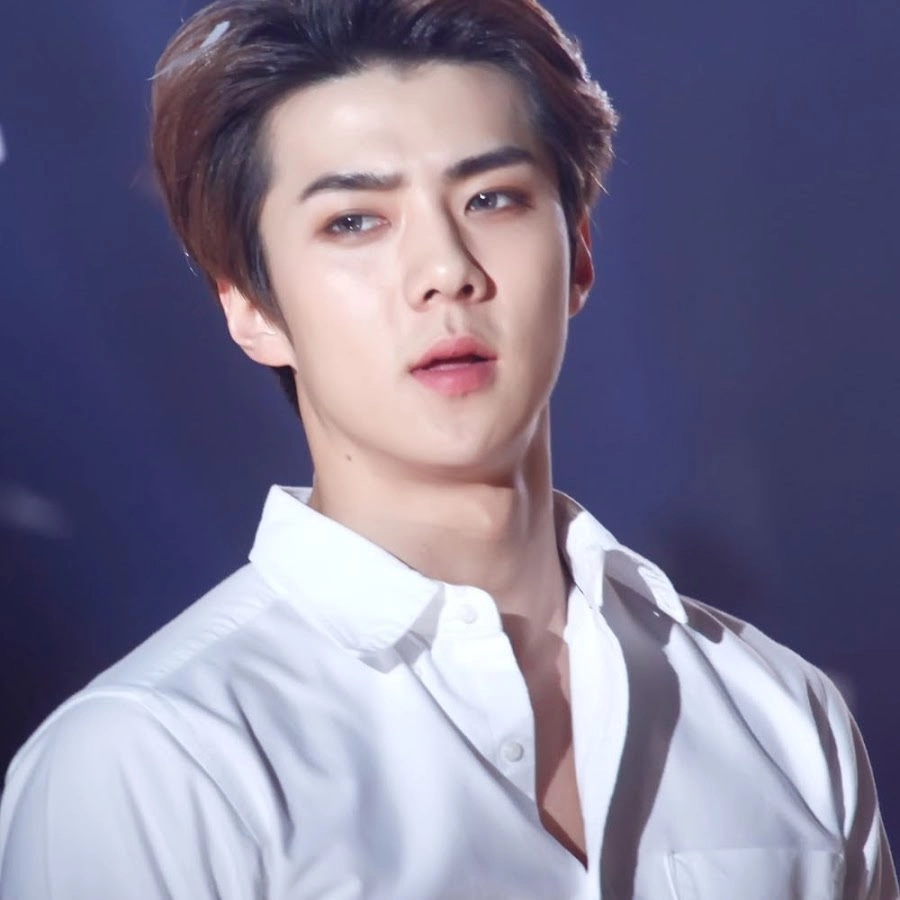Sehun cùng các thành viên EXO