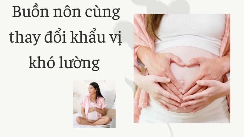 Buồn nôn cùng thay đổi khẩu vị khó lường 