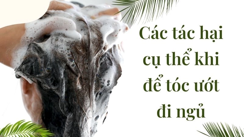 Các tác hại cụ thể khi để tóc ướt đi ngủ