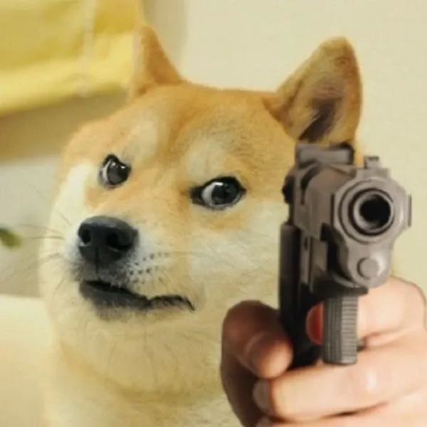 Shiba dog meme troll mặt ngố cười ngất