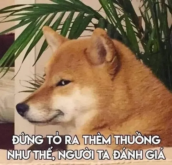 Meme shiba bonk cầm gậy troll siêu bựa