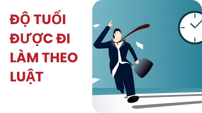 Bao nhiêu tuổi được đi làm theo quy định?