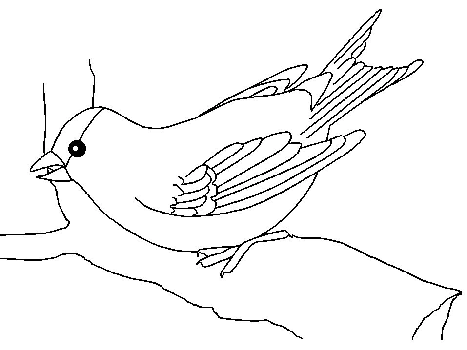 Chim tô màu đơn giản giúp bé học vẽ dễ dàng