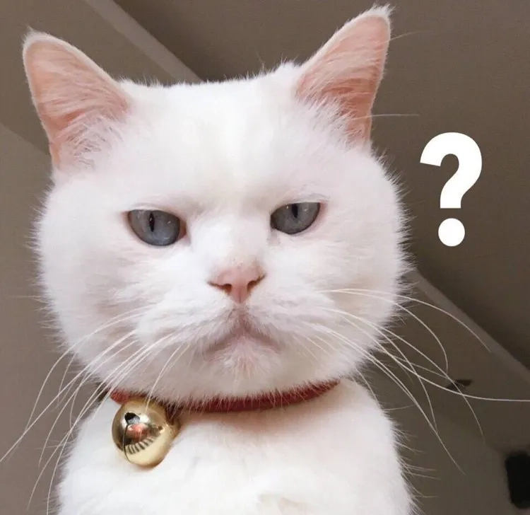 Hình avatar hài hước biểu cảm hài vui nhộn dễ thương cuốn hút