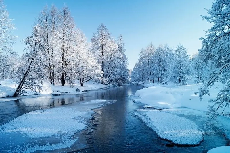 Ảnh anime phong cảnh mùa đông anime tuyết rơi quyến rũ cuốn hút