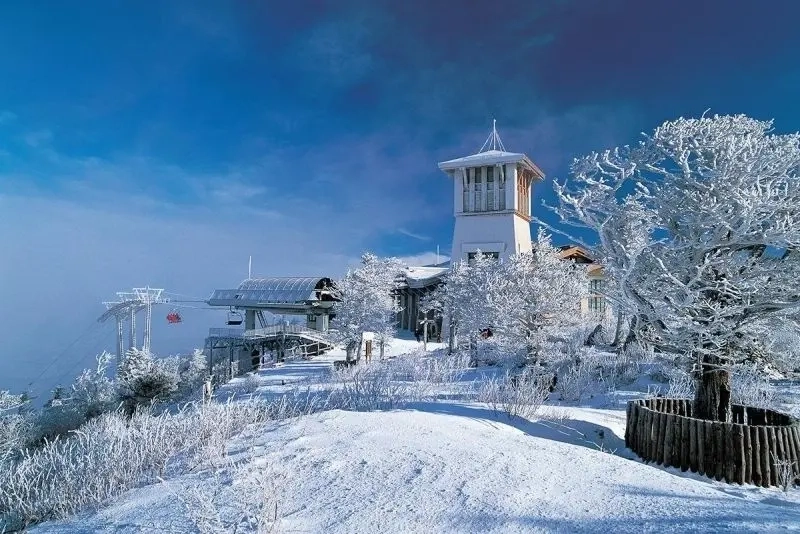 Phong cảnh mùa đông tuyết đẹp tuyết phủ trắng xóa quyến rũ cuốn hút