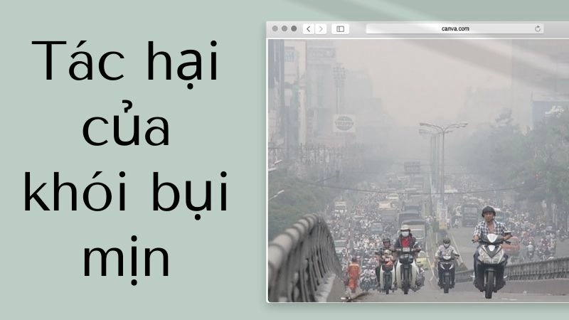 Sát thủ bụi mịn PM2.5 tấn công hệ hô hấp thế nào?
