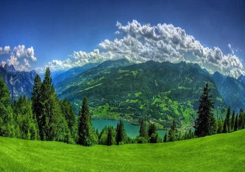 Vẽ tranh phong cảnh núi rừng đơn giản nét đơn giản quyến rũ cuốn hút