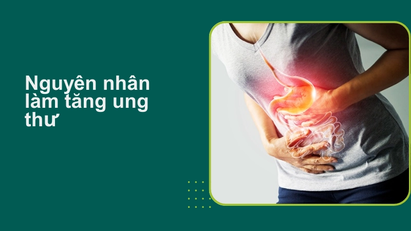 Những yếu tố làm tăng nguy cơ ung thư