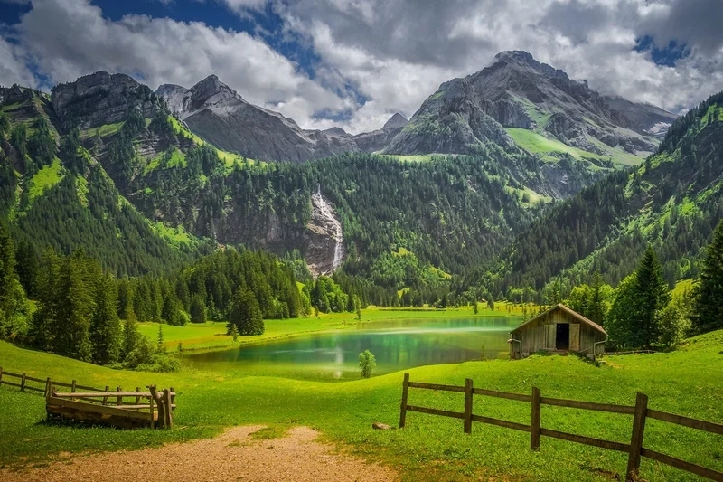 Sắc xanh bạt ngàn của thiên nhiên hội tụ trong ảnh phong cảnh núi rừng tự nhiên.