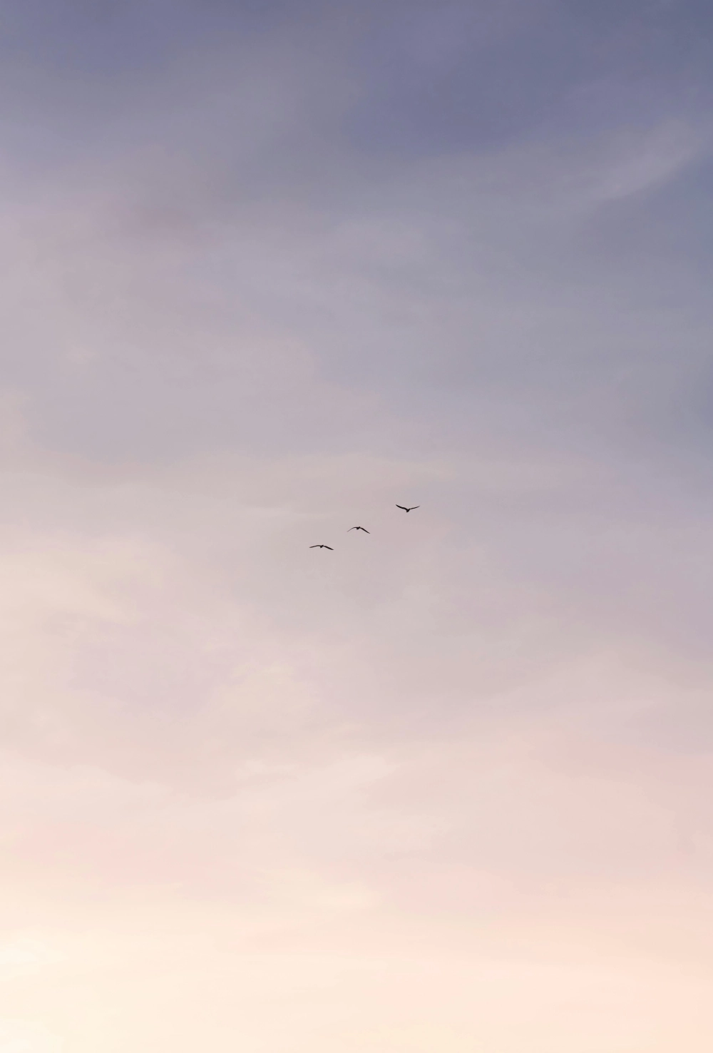 Top những mẫu hình nền đẹp cảnh hoàng hôn giúp bạn thư giãn tâm hồn.